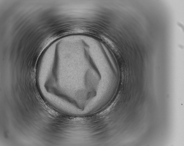 X0000096481178200802141715