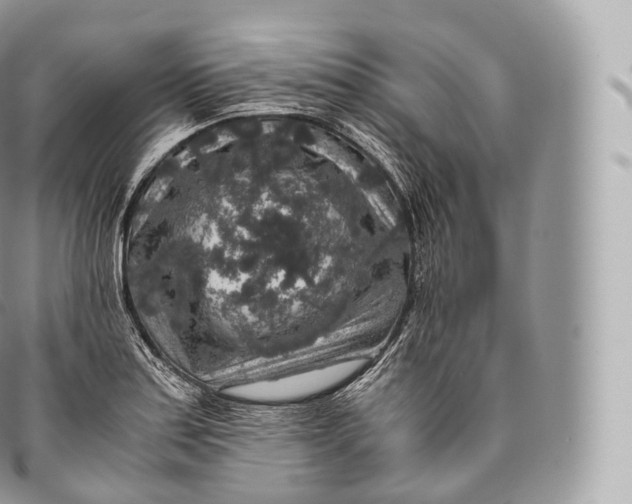 X0000096481179200802141715