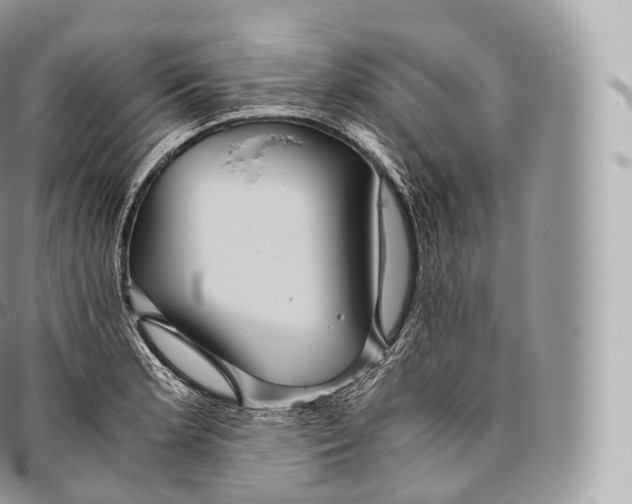 X0000096481181200802141715