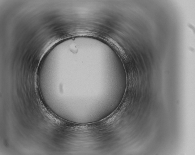 X0000096481182200802141715