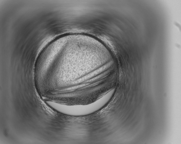 X0000096481183200802141715