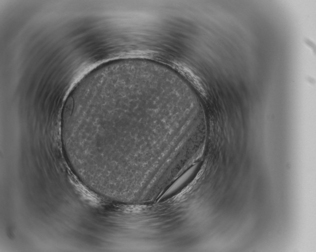 X0000096481184200802141715