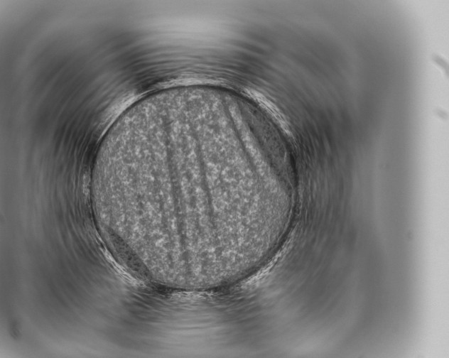 X0000096481185200802141714