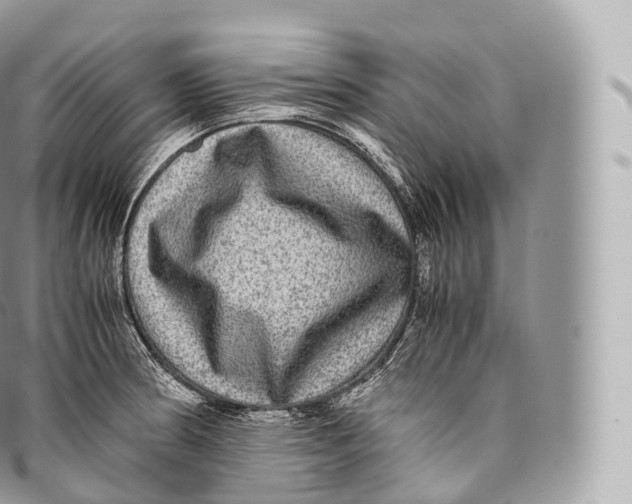 X0000096481186200802141714