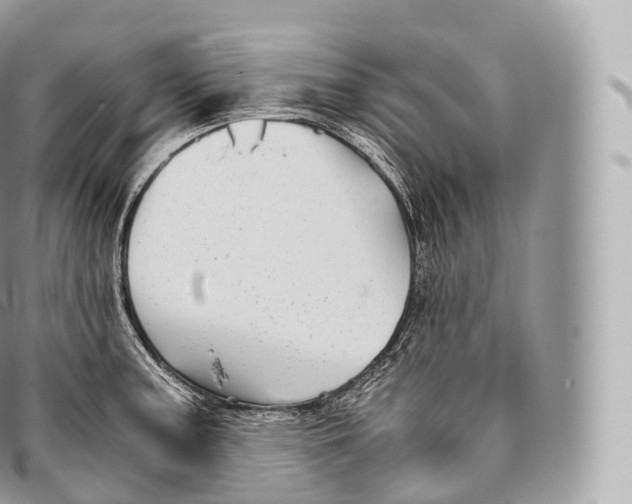 X0000096481187200802141714