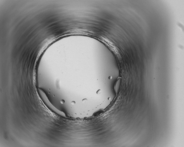 X0000096481188200802141714