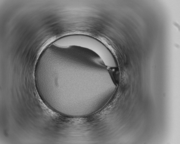 X0000096481189200802141714