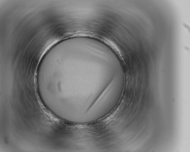 X0000096481190200802141714