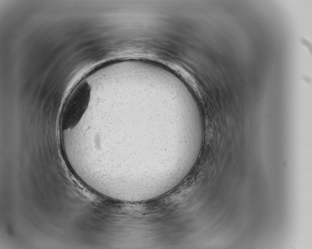 X0000096481191200802141714