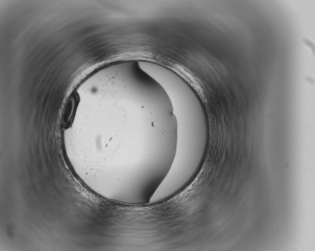 X0000096481192200802141714