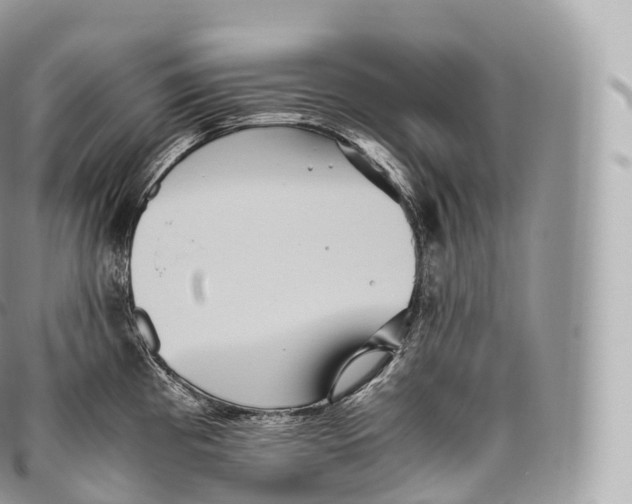 X0000096481193200802141714