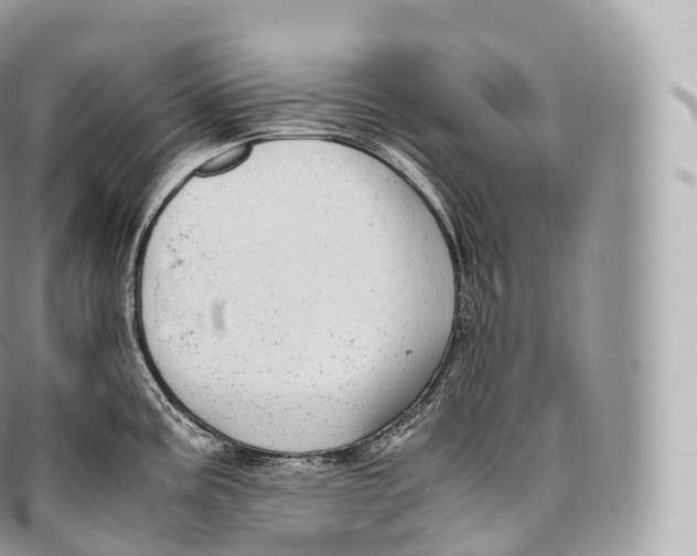 X0000096481195200802141714