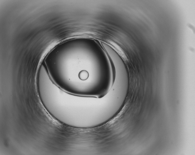 X0000096481196200802141714