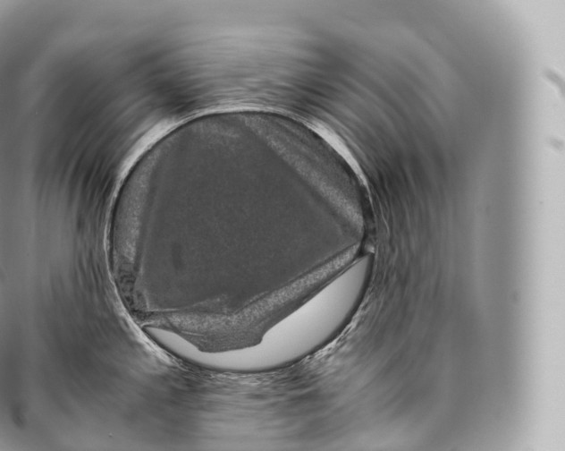 X0000096481197200802141714