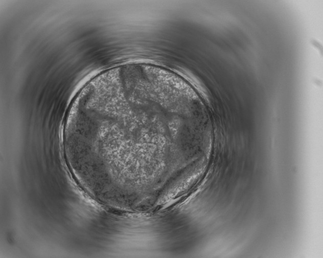 X0000096481198200802141714