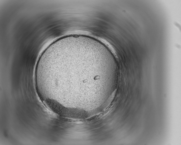 X0000096481199200802141714