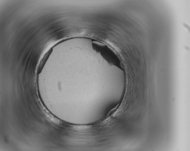 X0000096481200200802141714