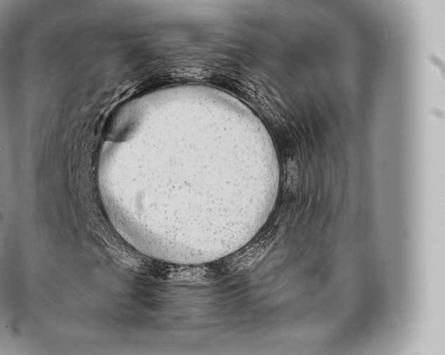 X0000096481201200802141713