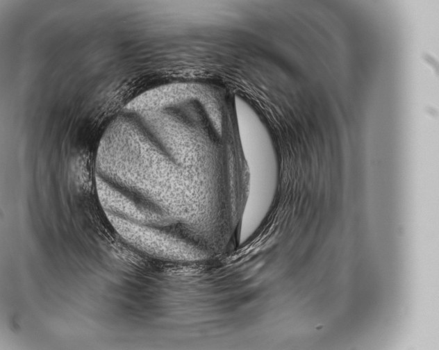 X0000096481202200802141713