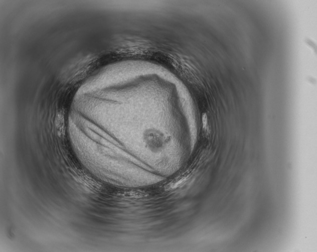 X0000096481203200802141713