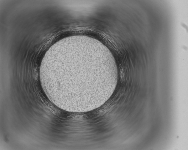 X0000096481204200802141713