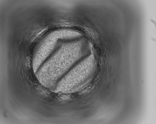 X0000096481205200802141713