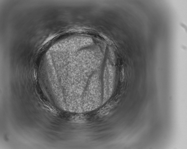 X0000096481206200802141713