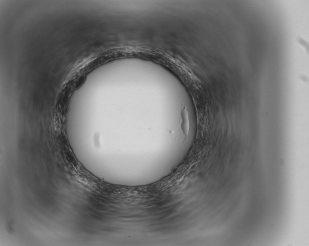 X0000096481207200802141713