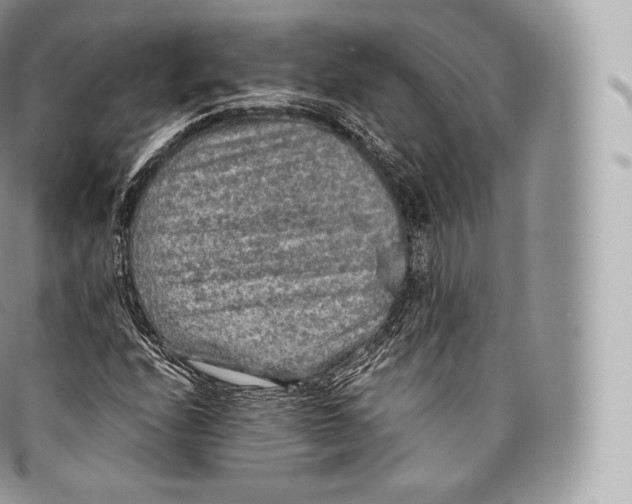 X0000096481208200802141713