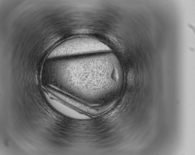 X0000096481209200802141713