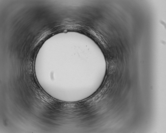 X0000096481211200802141713