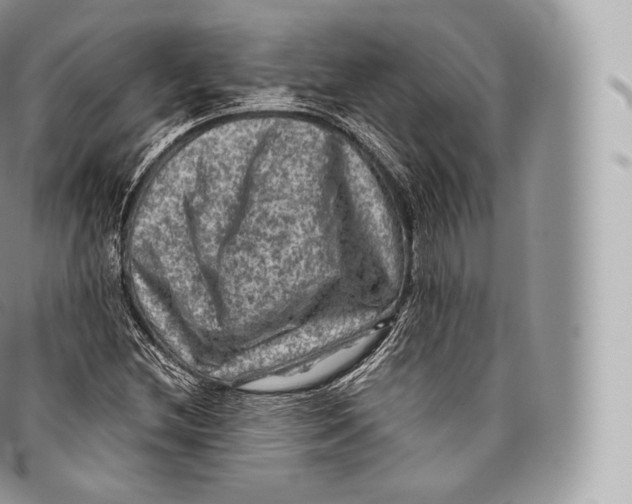 X0000096481212200802141713