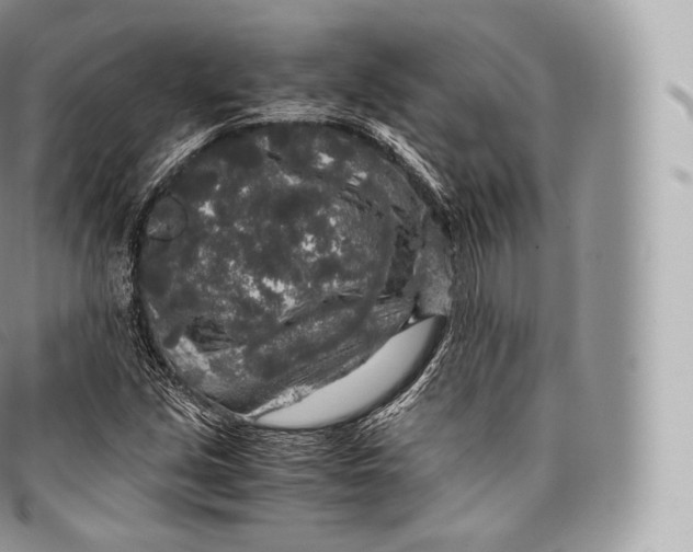 X0000096481213200802141714