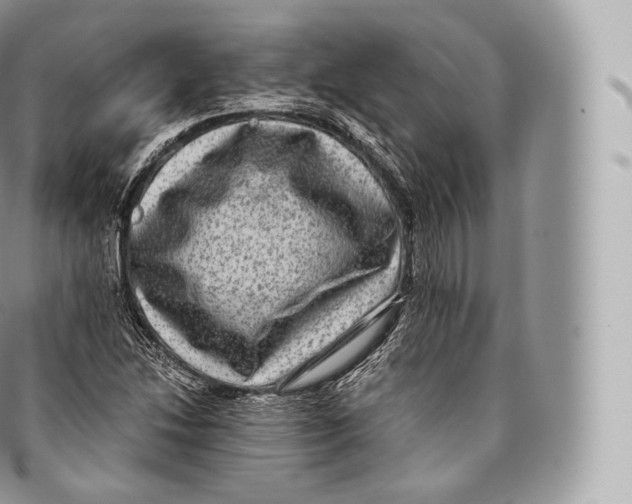 X0000096481214200802141714