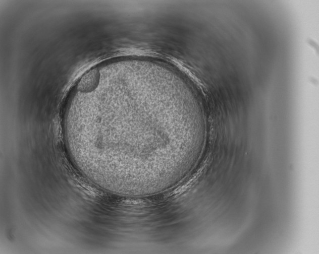 X0000096481215200802141714