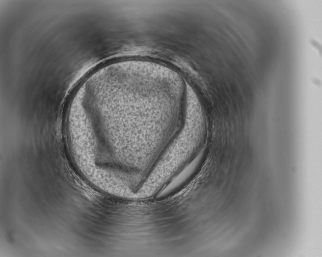 X0000096481216200802141714