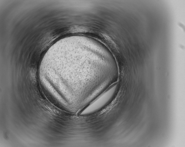 X0000096481217200802141714