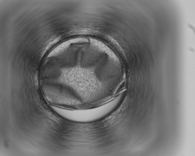 X0000096481218200802141714