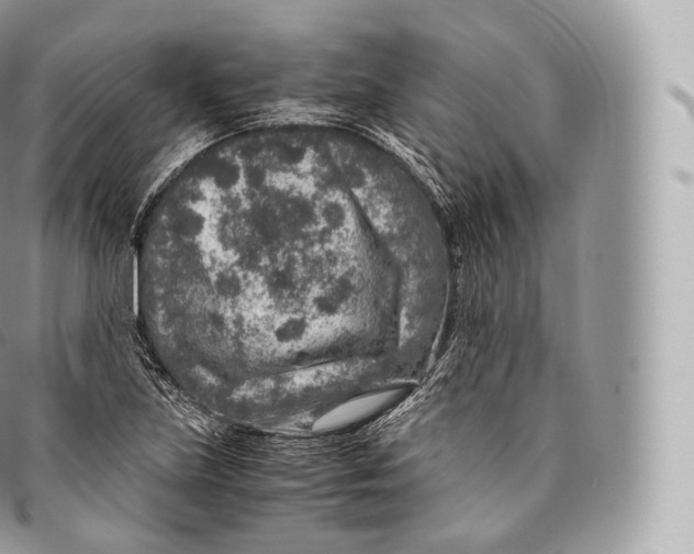 X0000096481219200802141714