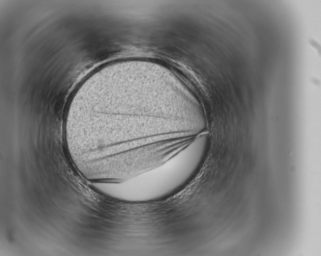 X0000096481220200802141714