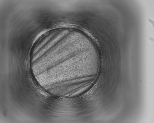 X0000096481222200802141714