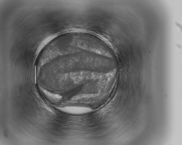 X0000096481223200802141714