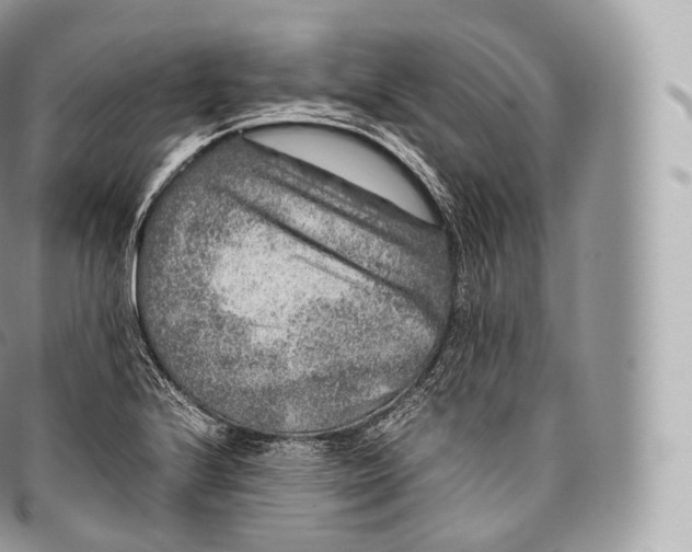 X0000096481224200802141714