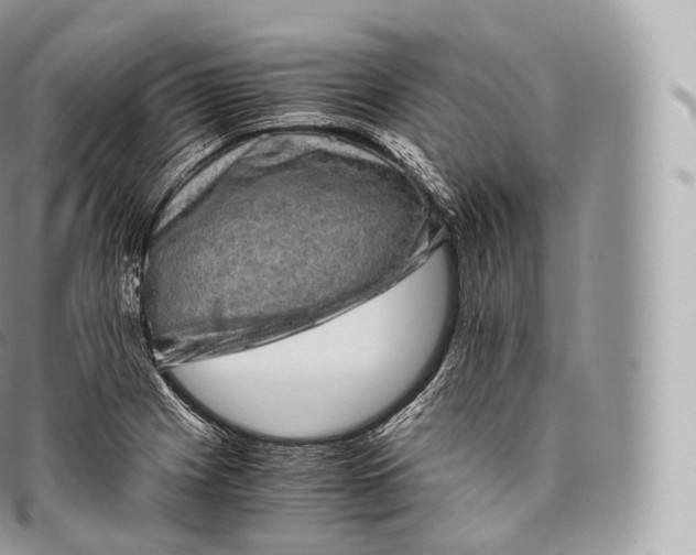 X0000096481225200802141714