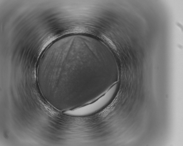 X0000096481226200802141714