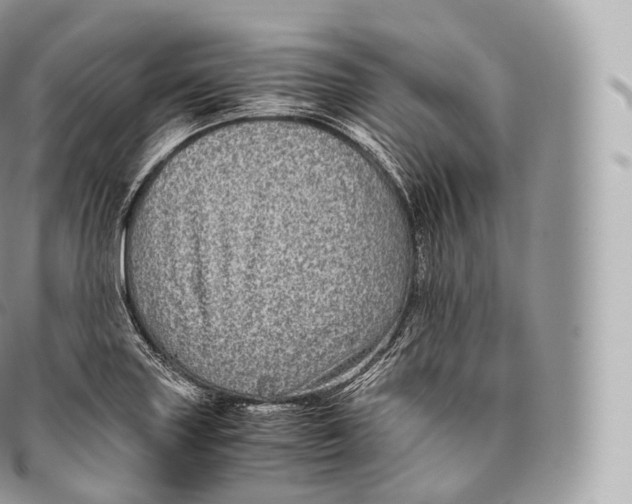 X0000096481227200802141714