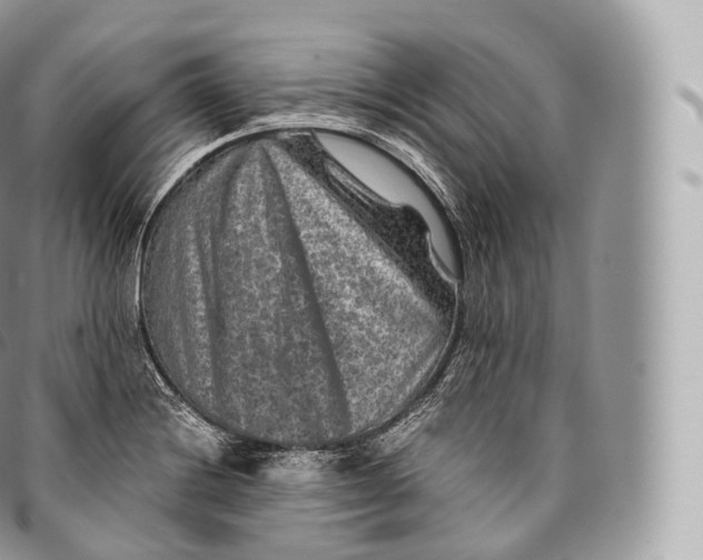 X0000096481228200802141714