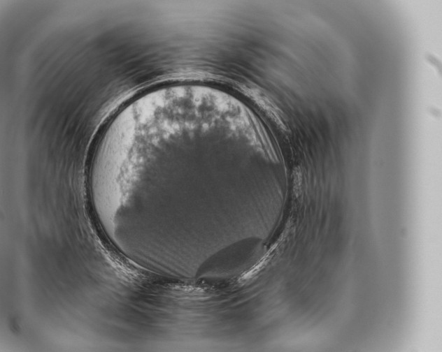 X0000096481229200802141714