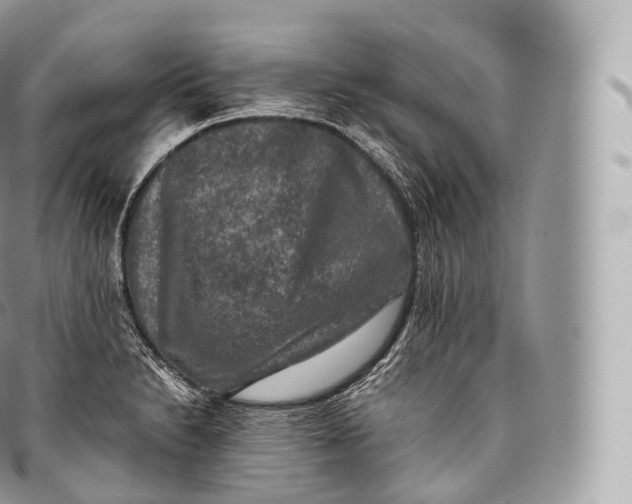 X0000096481230200802141714