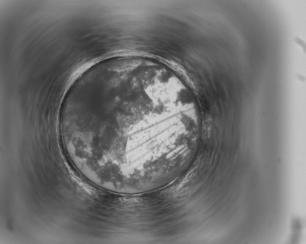 X0000096481231200802141714